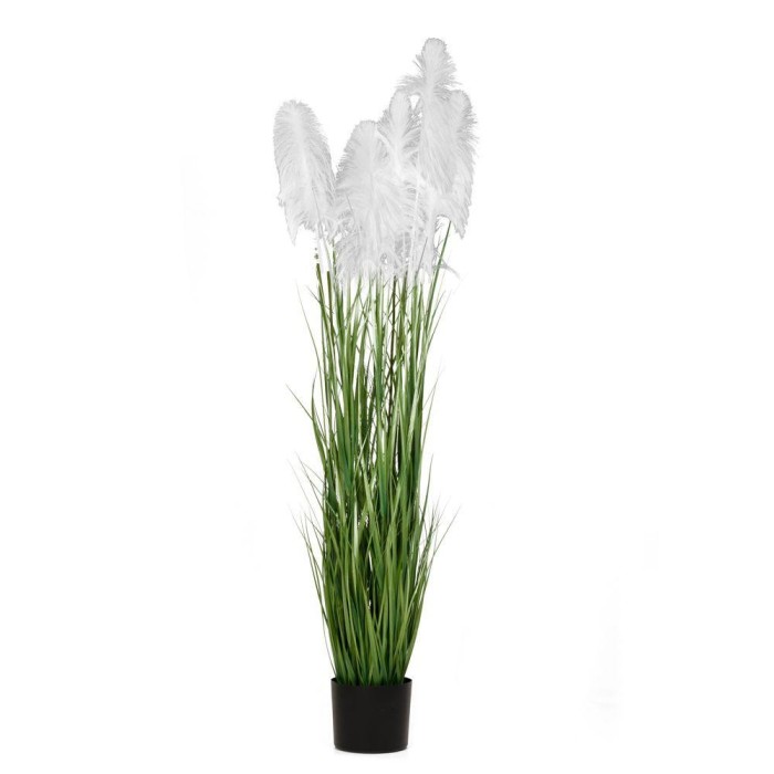 PIANTA PAMPAS X 3 D23X220CM